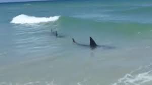 No Excuses Accepted&nbsp;Today